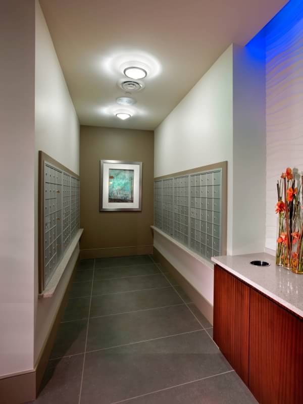 Domus Rentals Philadelphia, PA