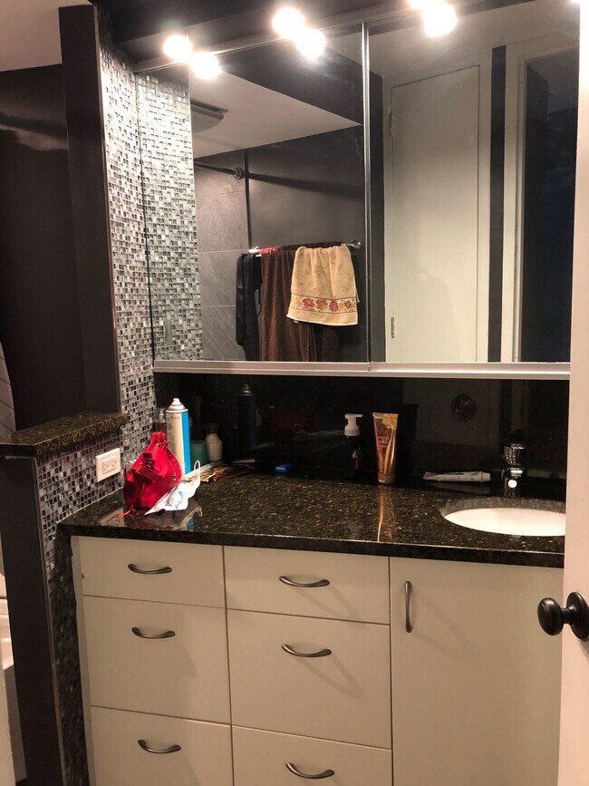 bathroom - 300 N State St