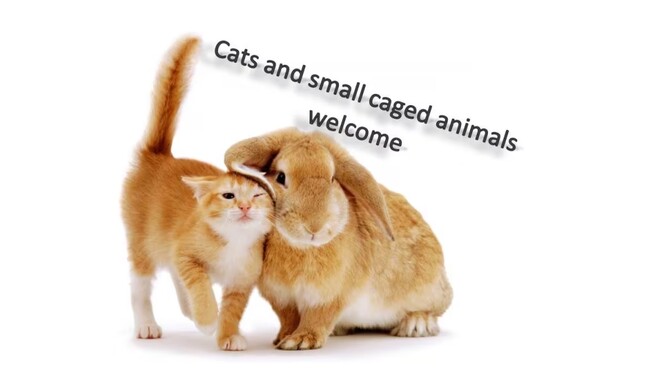 Cats and Small Caged Animals Welcome! - Pilgrim Way Residences