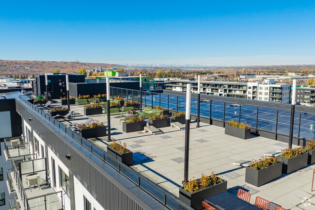 Cour sur le toit - Encore