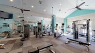 This fitness center is designed to accommodate a comprehensive range of workout needs within a single, open-plan space. The room features soaring vaulted ceilings accented with crown molding, recessed lighting, and multiple ceiling fans that promote air circulation throughout. Distinctive teal-painted columns and accent walls add a modern, vibrant touch to the otherwise neutral color palette of white walls and patterned carpet tile flooring.

The cardio zone is positioned along the windowed wall, where a row of treadmills — each equipped with individual media screens — face large French doors that offer views to the outdoors, flooding the area with natural light. Alongside the treadmills, elliptical trainers and a stationary bike round out the aerobic equipment selection.

The strength training area is anchored by a full wall of floor-to-ceiling mirrors that visually expand the space and allow users to monitor their form. A multi-station cable machine, a tiered dumbbell rack, adjustable weight benches, and a squat/power rack provide a thorough free-weight and resistance training setup. A dedicated stretching and cool-down area, a water station, and access to an adjacent lounge area complete this well-appointed facility.