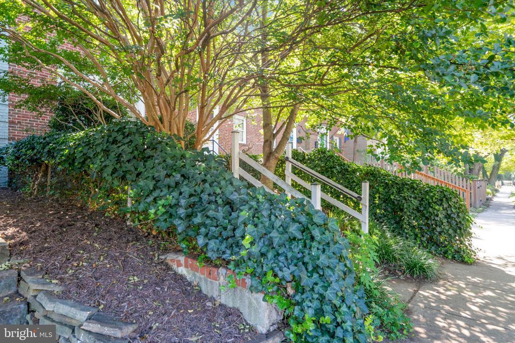Foto principal - 407 Mt Vernon Ave