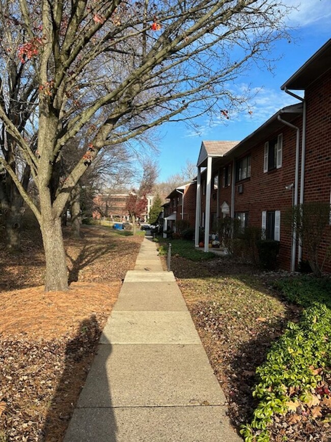 Foto del edificio - Lovely 2 bedroom in Broomall