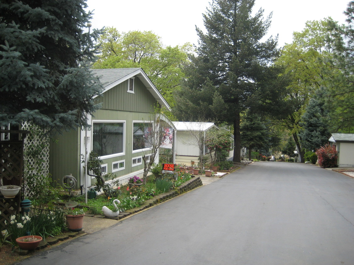 Primary Photo - Blue Spruce Mobile Estates