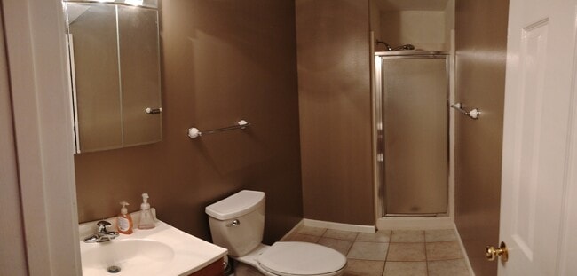 Baño completo en la planta principal - 529 Strawberry Hill Rd