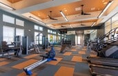 Located at 2021 Bluff Creek St in El Paso, TX, this well-appointed fitness center delivers a comprehensive workout environment within a single, open-plan floor. The space is immediately distinguished by its bold, contemporary color palette — teal-painted walls contrast with a warm amber-orange coffered ceiling, creating an energetic and motivating atmosphere. Ceiling fans are integrated throughout, ensuring comfort during intense workouts.

The flooring continues the vibrant theme with a geometric patchwork of orange, blue, and gray carpet tiles, adding visual interest while providing a cushioned surface underfoot. Ample natural light streams in through large windows and floor-to-ceiling glass panels, offering views of the outdoor surroundings and contributing to an open, airy feel.

The facility is equipped with a diverse selection of Matrix-brand cardio machines, including treadmills and ellipticals positioned along the windowed wall, as well as a rowing machine and stationary cycle. The strength training area features multiple cable and resistance machines, weight benches, and a dedicated free weights section with a full dumbbell rack and wall-length mirrors. A mounted flat-screen TV adds entertainment options for users. The overall layout is spacious and thoughtfully organized, supporting a wide variety of fitness routines.