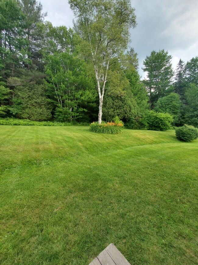 Upper lawn - 519 Lancaster Rd