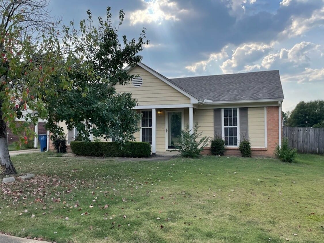 Magnolia Subdivision, quiet street - Magnolia Subdivision, quiet street