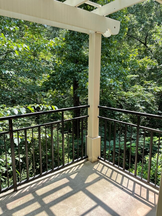 view from porch - 490 Barnett Shoals Rd