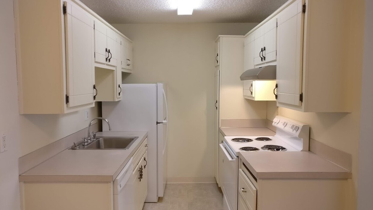 Primary Photo - "Beautiful Remodeled 3 bed 1 bath in downtown Port Angeles!"