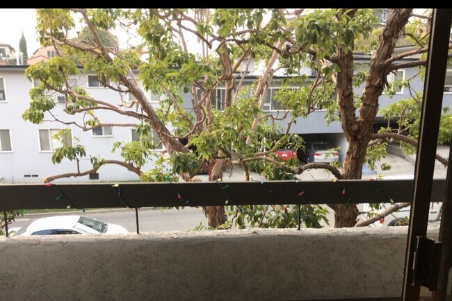 Balcony - 1882 Pandora Ave