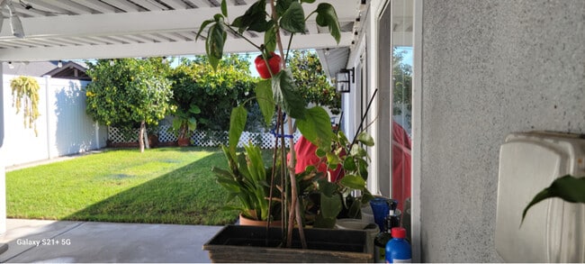 Photo - 9621 Telhan Dr House