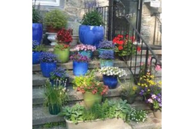 Foto del edificio - 3 Cook St