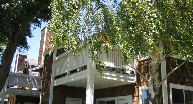 Building Photo - 141 Marina Lakes Dr
