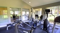 This single-story fitness room is designed to accommodate a well-rounded workout experience within a bright, functional space. The room features vaulted ceilings accented by a ceiling fan, which contributes to an open, airy atmosphere and aids in ventilation during exercise. Walls are finished in a neutral taupe tone, complementing the dark rubberized flooring that provides stability and support for physical activity.

The equipment layout includes a multi-function cable weight machine, a recumbent stationary bike, an elliptical trainer, and a treadmill, offering options for both strength training and cardiovascular exercise. A large wall mirror enhances the sense of space and allows users to monitor their form during workouts.

Large sliding glass doors and expansive windows line one side of the room, flooding the interior with natural light and providing direct views of a landscaped outdoor patio area with mature trees. The seamless connection to the outdoors creates a refreshing and motivating environment. A fire extinguisher is visibly mounted near the entrance, reflecting attention to safety within the space.