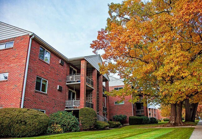 Foto del edificio - Charlesbank Gardens