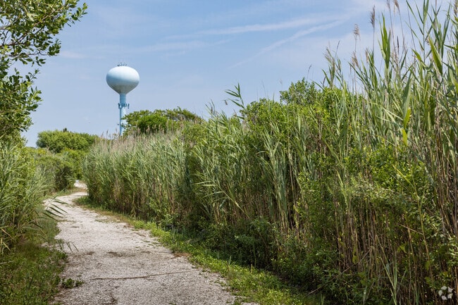The walking trails at the Lido Preserves in Lido Beach, NY lead to the water.