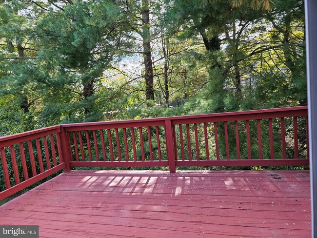 Building Photo - 3169 Sonia Trail