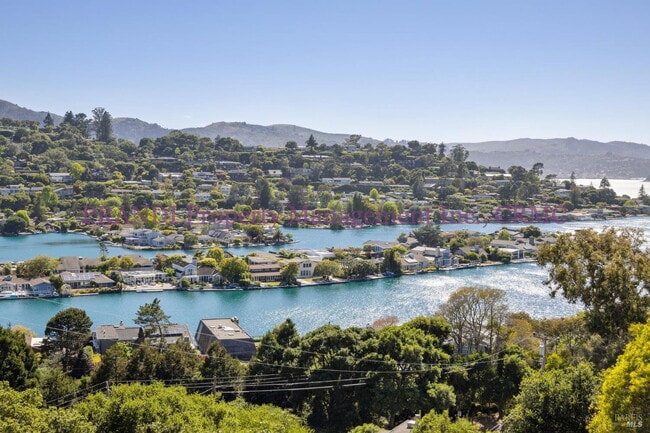 Foto del edificio - Resort Style Living in Prime Tiburon Locat...