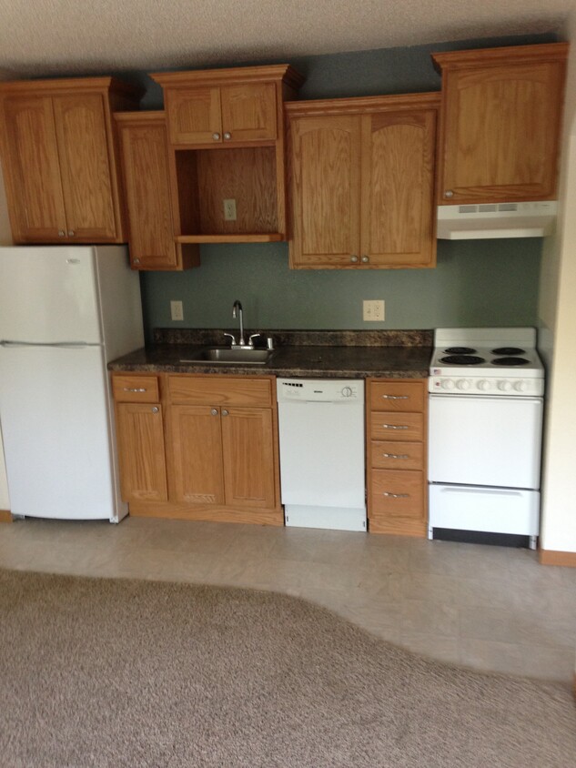 Standard Kitchen Area - Dodge House Apartments