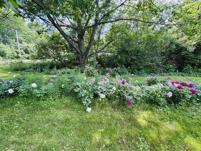 Building Photo - 2514 Western Ave