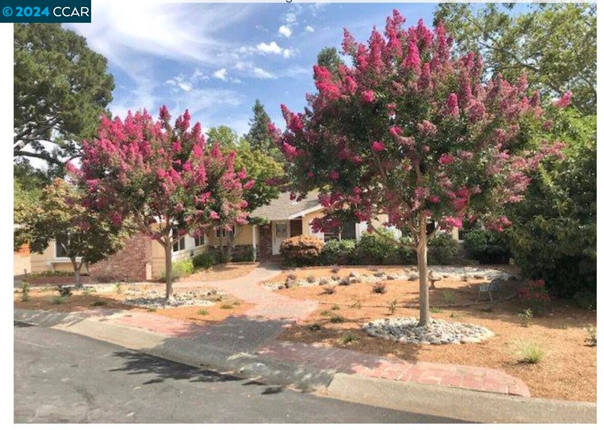 Primary Photo - 104 Danza Ct