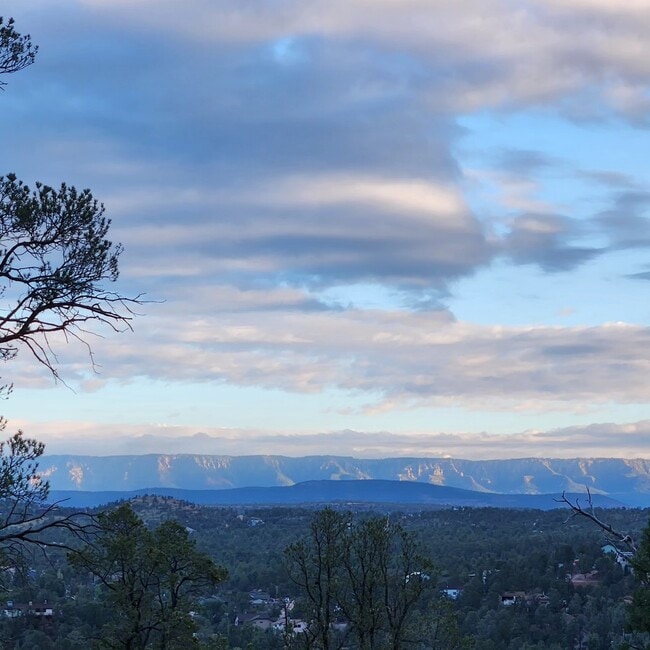 GORGEOUS views! - 221 E Pine St