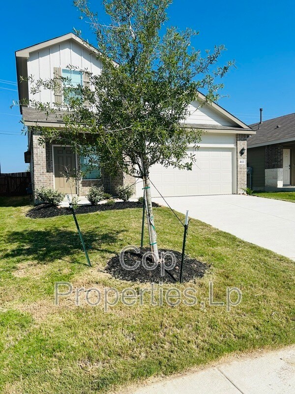 Primary Photo - 4611 Meerkat Dr