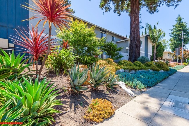 Lovely Condo | Private Yard | Prime Location - Lovely Condo | Private Yard | Prime Location