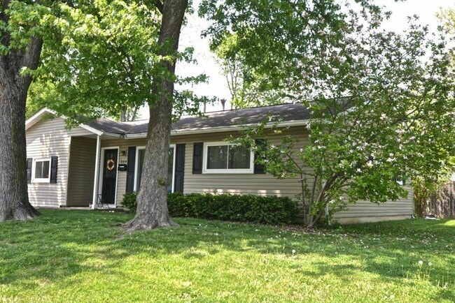 Building Photo - 564 Palace Ln