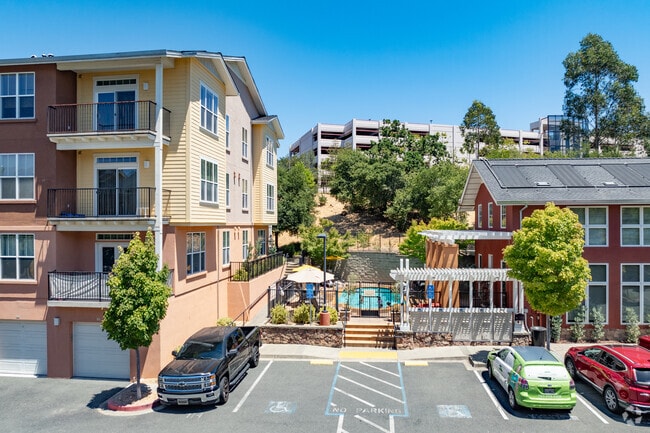 Building Photo - The Meadows at Fountaingrove