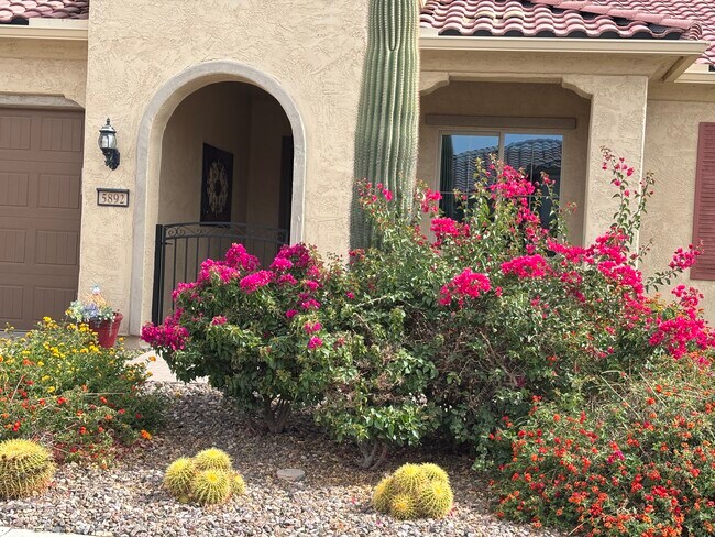 Building Photo - 5892 W Cactus Wren Way