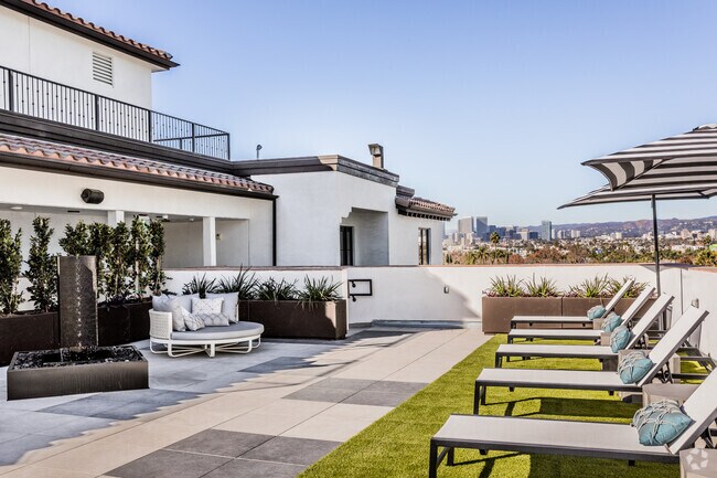 Terraza para tomar el sol - The Estelle | BREF3 1333 ORANGE GROVE LLC