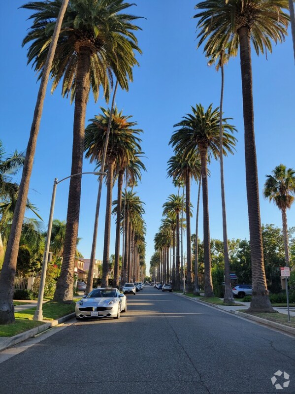 Building Photo - 362 S Palm Dr