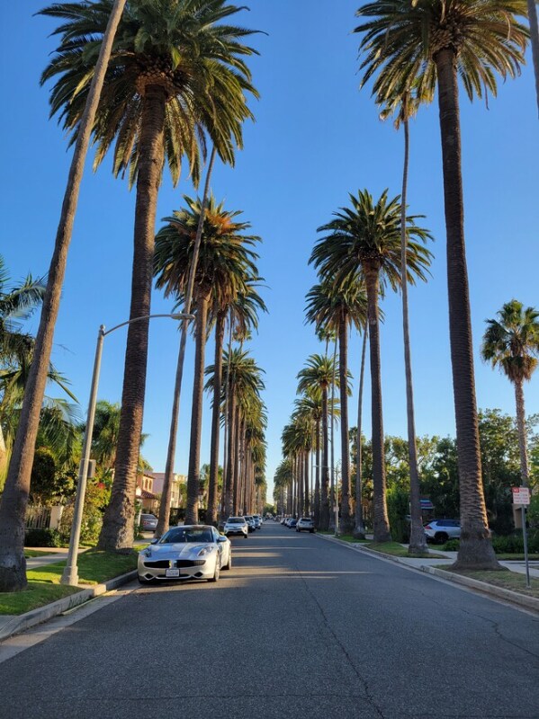 Foto del edificio - 362 S Palm Dr