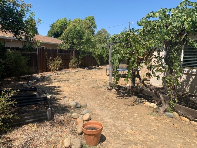 Foto del edificio - Updated 3 Bedroom Home Near Chestnut Park