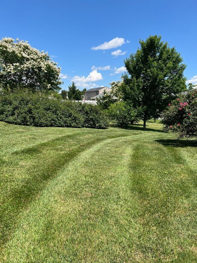 Foto del edificio - Charming 3-Bedroom Ranch in Quiet NE Roanoke Neighborhood