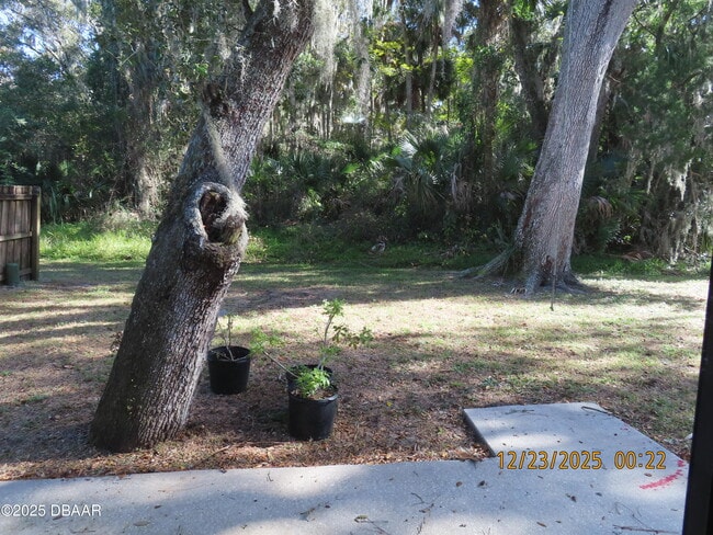 Building Photo - 4211 New Haven Ct