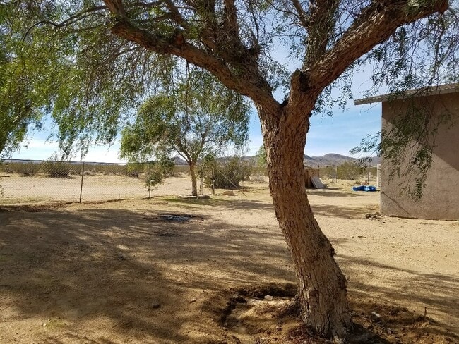 Building Photo - Wide open spaces!