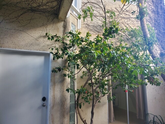 Building Photo - 676 San Juan Ave