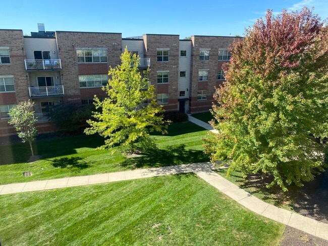 Foto del edificio - Cannery Square Apartments