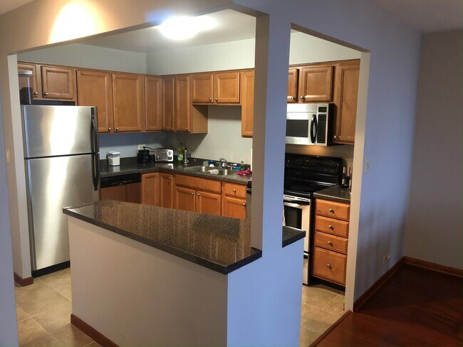 Kitchen - 1660 N LaSalle Dr