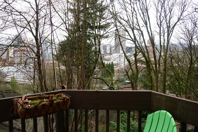 View from front door & deck - 1334 SW College St.