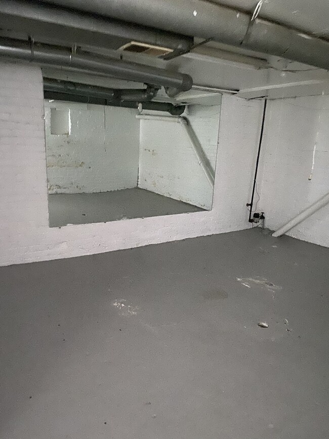 Basement - 3931 W Lafayette Blvd
