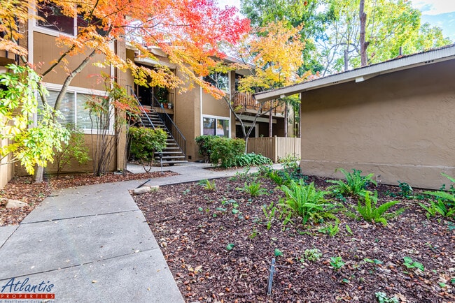 Building Photo - 420 Alberto Way
