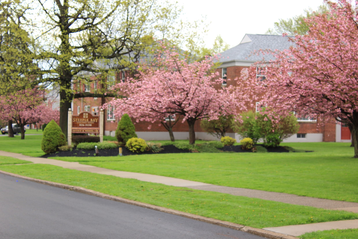 Patio - Steeple Bay Estates