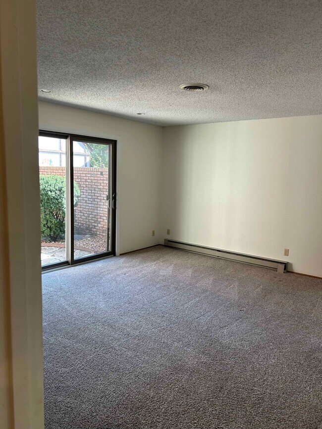 Main BR looking to patio - 1115 Rantoul St