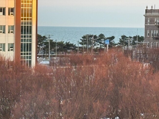 Foto del edificio - 3501 Ventnor Ave