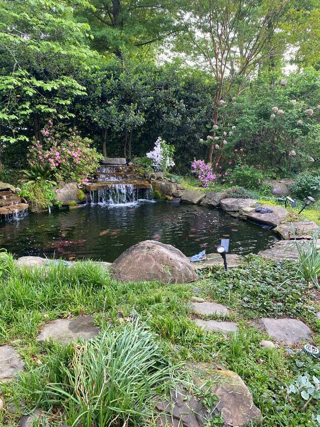 Pond outside your Door - 428 N Stratford Rd