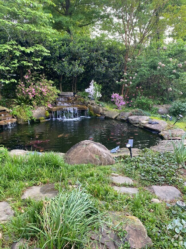 Apartments for Rent Near Wake Forest University Reynolda Campus